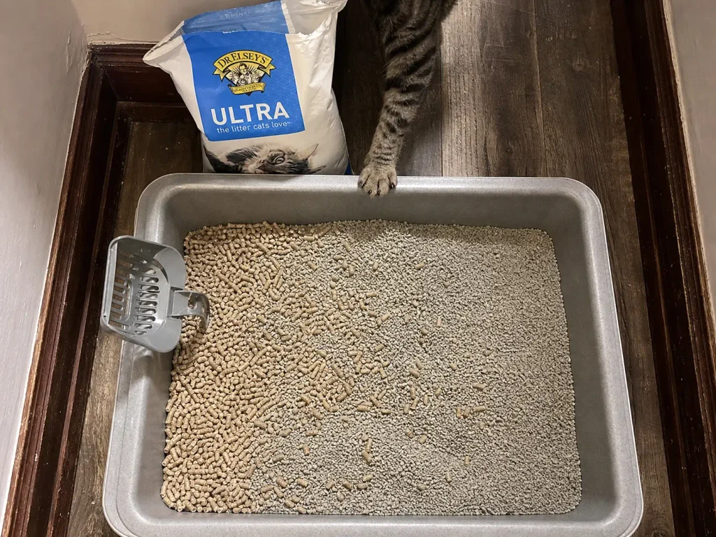 Litter box holding a visible mix of pale pellets and grey clumping clay during a gradual litter transition