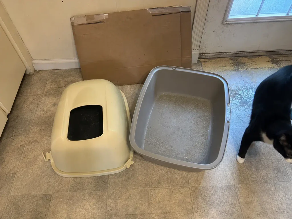 Hooded litter box with the lid detached beside its packaging, set aside to be returned