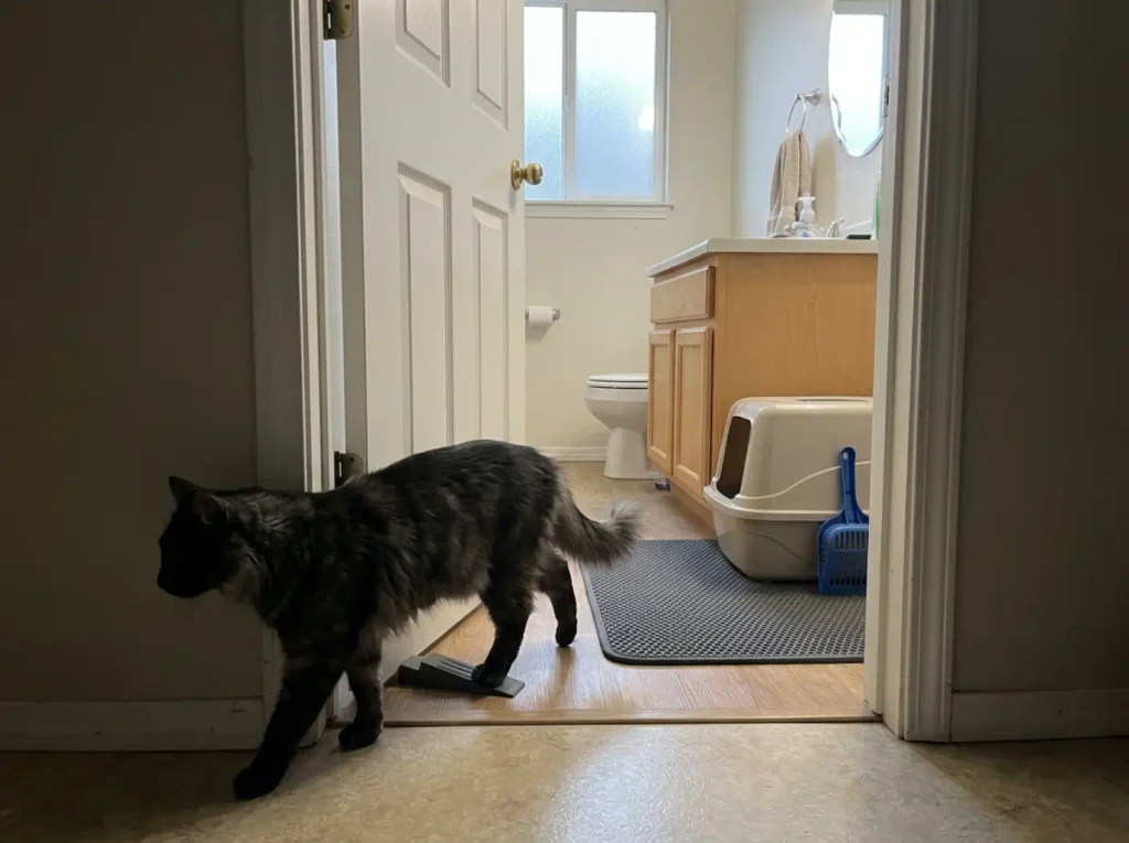 Litter box in a bathroom with the door propped open a gap for the cat to pass