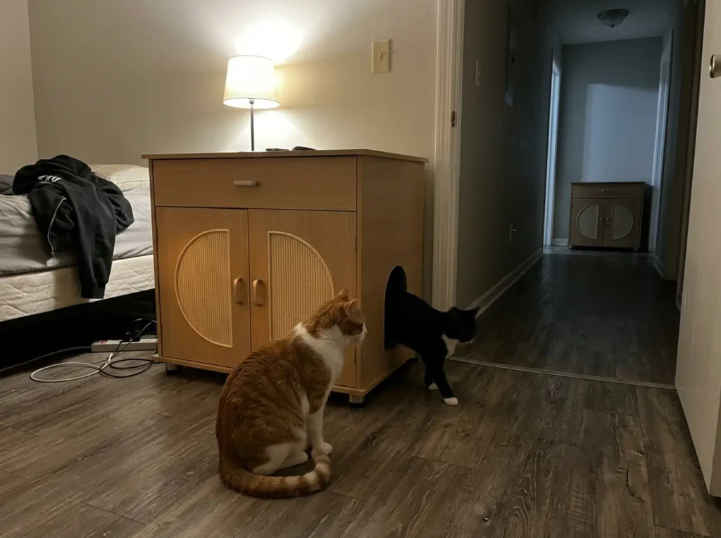 Two cats at a wide litter box enclosure while a second cabinet sits in another room down the hall