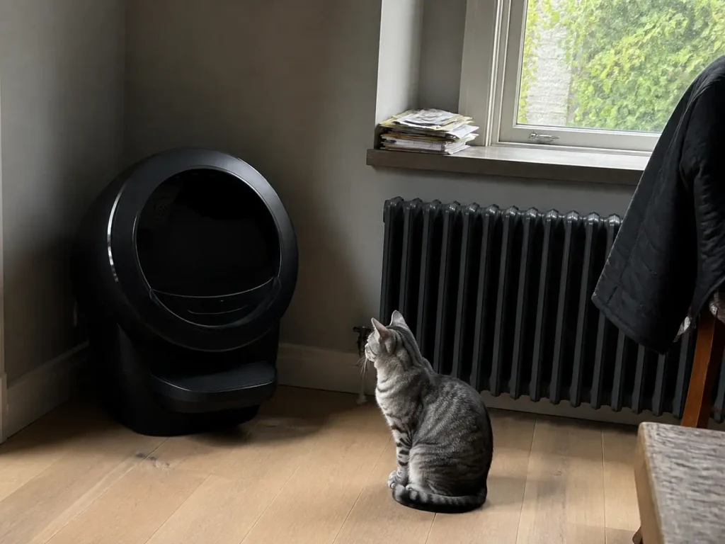 Black Litter-Robot 4 automatic litter box in a living room corner with a silver tabby beside it