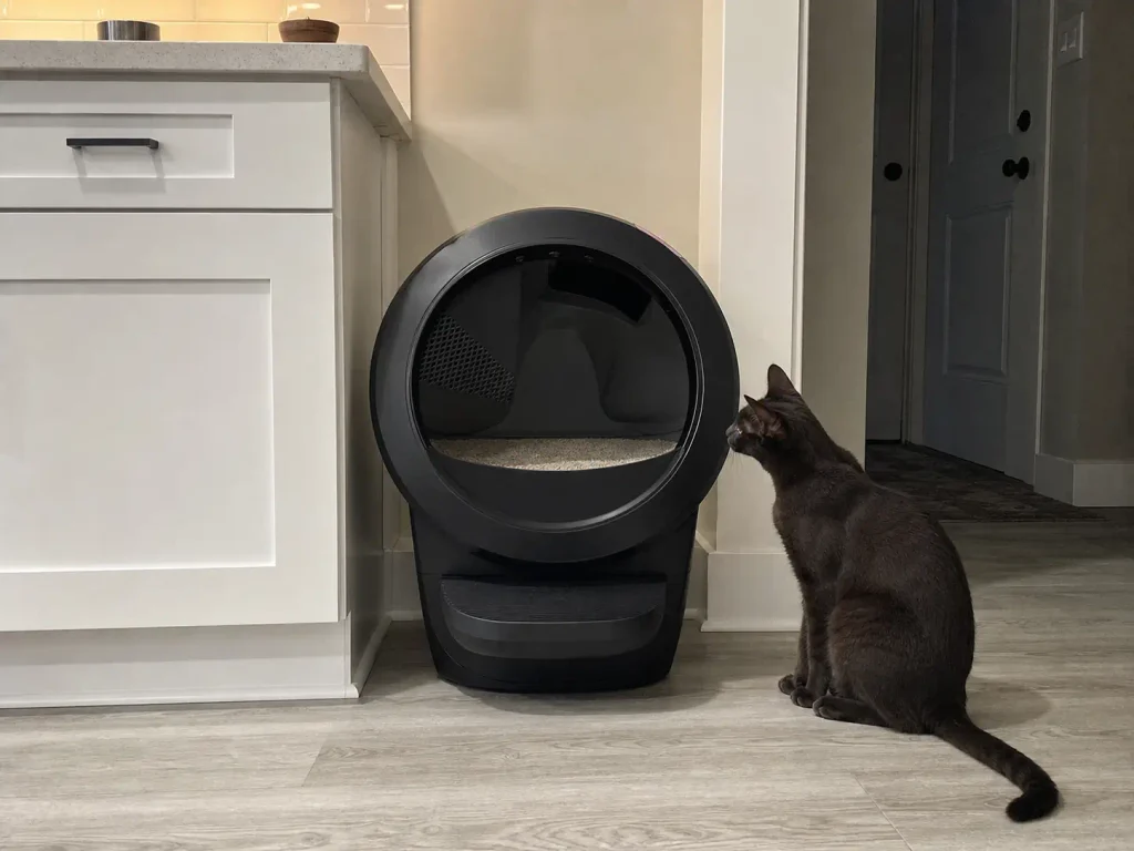 Litter poured into a Litter-Robot 4 globe up to the raised fill line