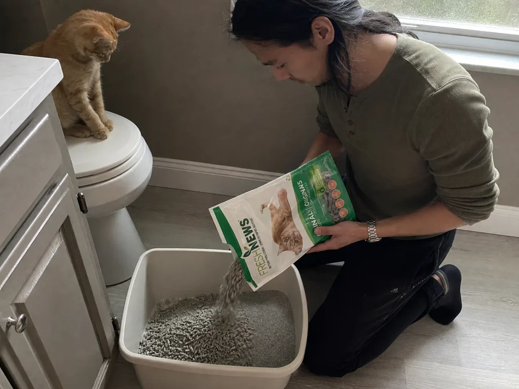 Paper pellet litter being mixed into an existing litter box during a gradual switch