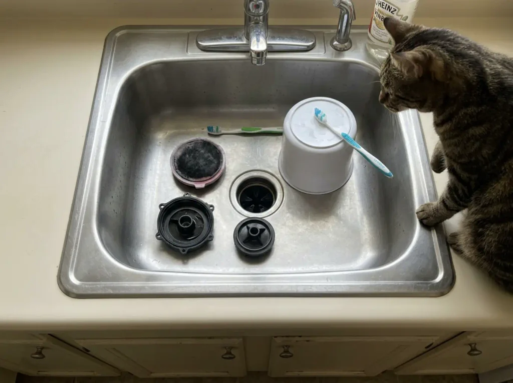 Cat fountain pump taken apart in a kitchen sink for its weekly deep clean