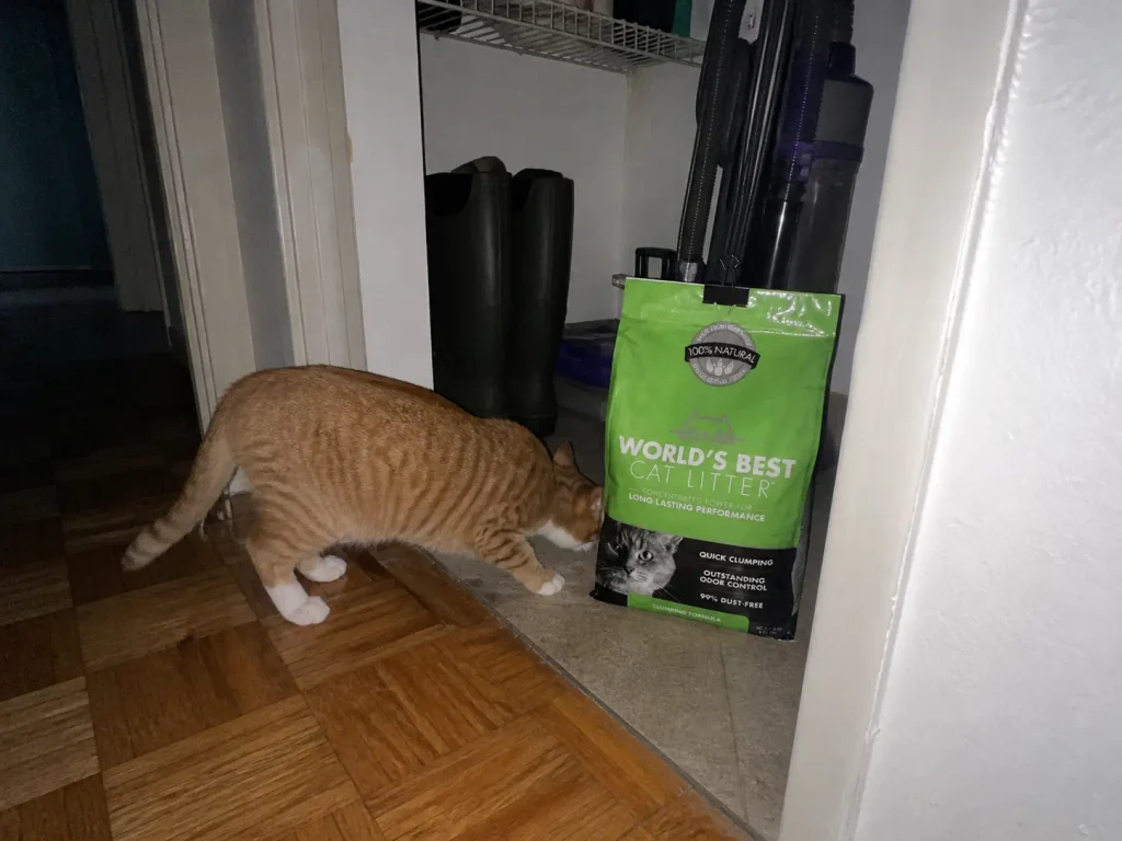 An open bag of corn cat litter stored on a closet floor, the top rolled shut with a clip