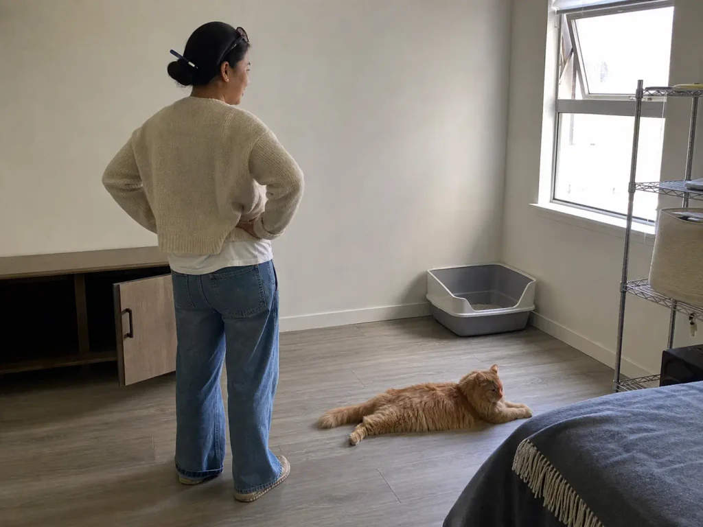 Litter box moved out of a cabinet into a ventilated corner of a studio apartment
