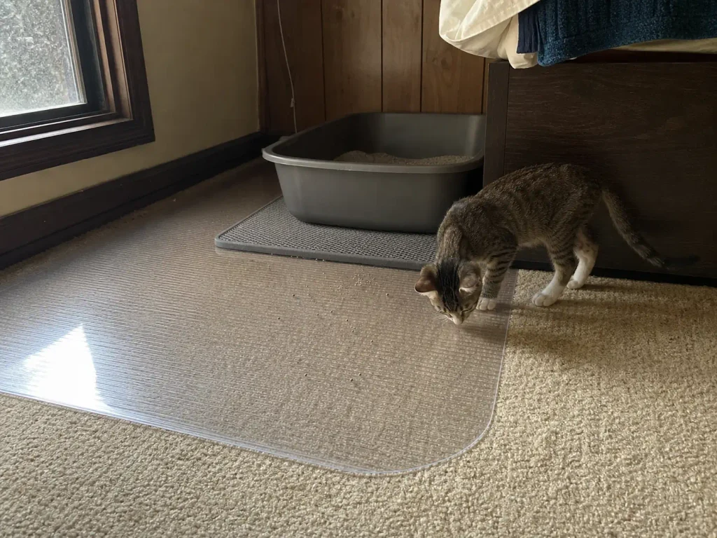 Litter box and mat standing on a plastic runner laid over bedroom carpet
