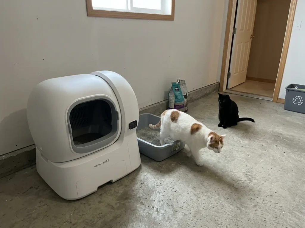 Large capacity automatic litter box beside a plain open box in a two cat household