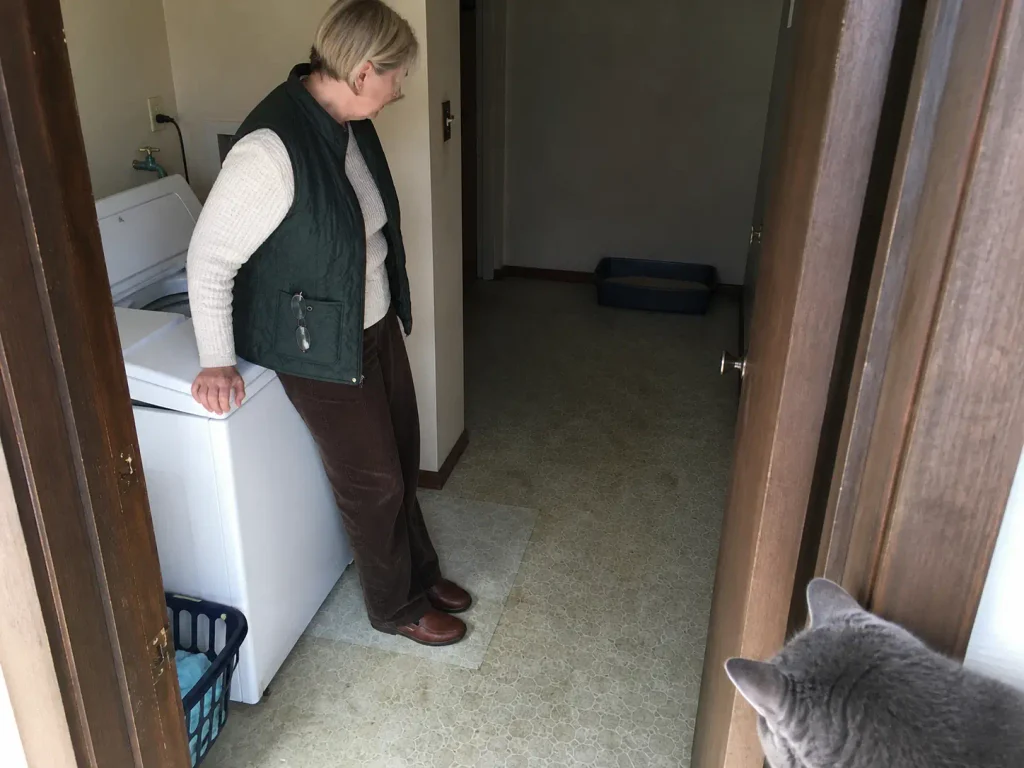 Litter box moved into a quiet corner away from the washing machine in a utility room