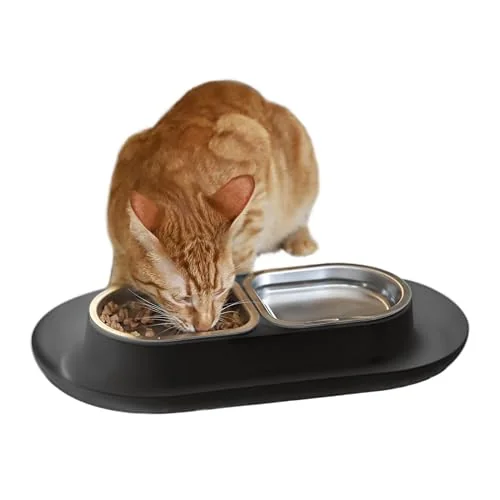 Hepper NomNom Spill-Proof Elevated Cat Bowls, Gray