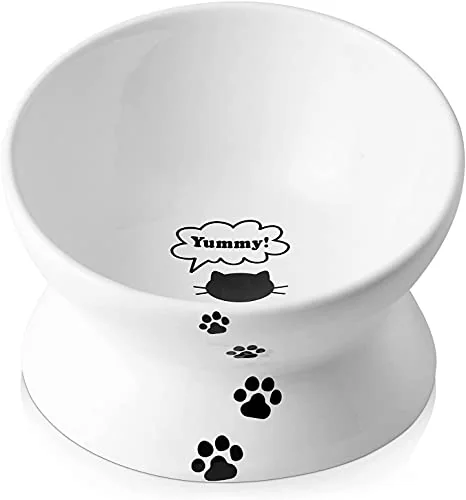 Y YHY Tilted Elevated Ceramic Cat Bowl, 5 Inches, White