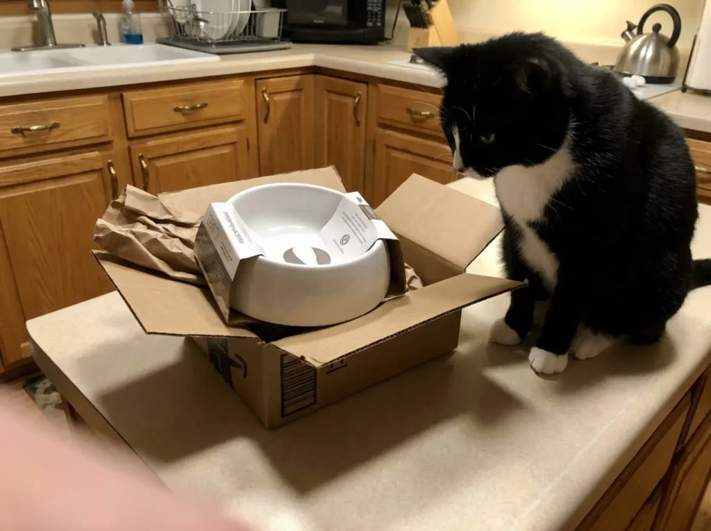 A whisker friendly cat bowl still in its opened cardboard box on a kitchen counter