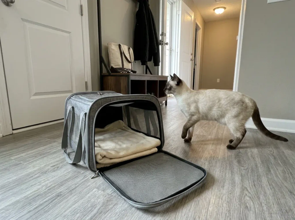Open cat carrier on the floor by an apartment front door with keys and a coat nearby