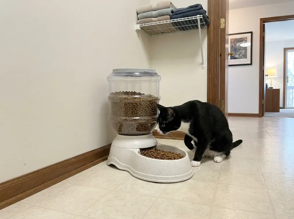 Gravity cat feeder standing against a utility room wall with a tuxedo cat sniffing the tray