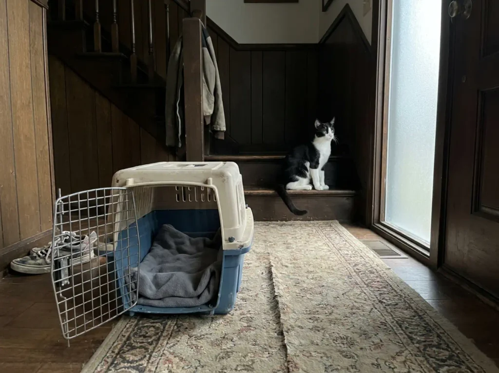 An open cat carrier with a folded blanket inside, waiting in a split-level entry hall