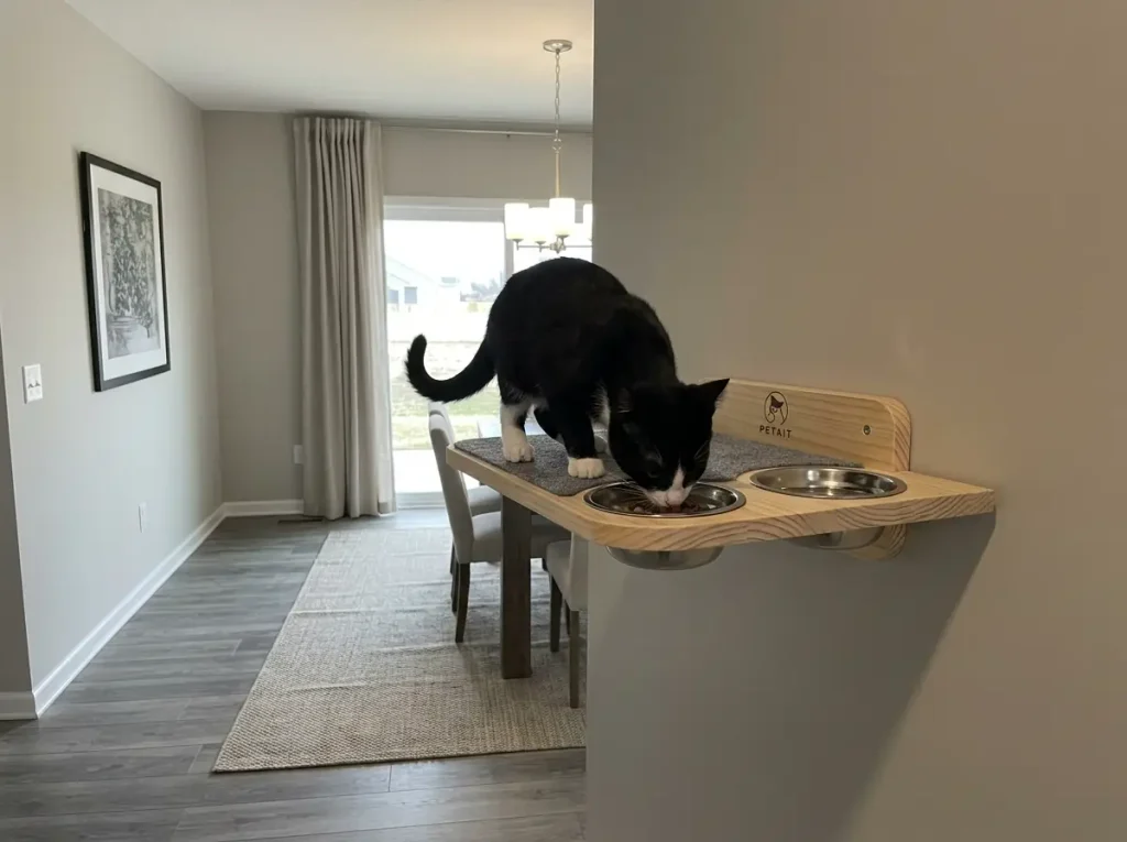 Cat eating from a wall-mounted feeding shelf photographed from floor level in a dining area