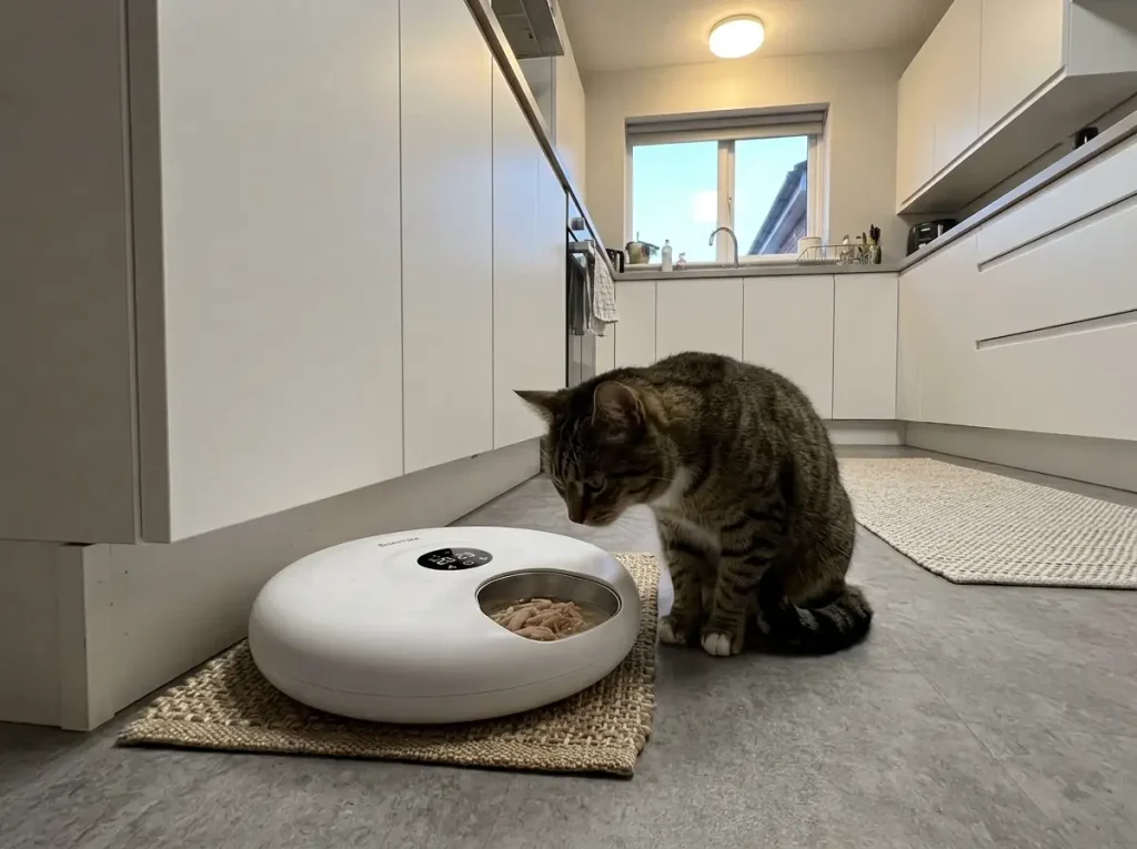 Six-meal rotating wet food feeder with stainless tray on a kitchen floor while a tabby cat waits