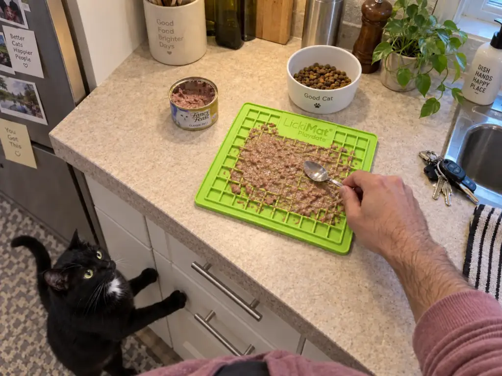 Hands spreading wet food on a LickiMat slow feeder for the faster of two cats before work
