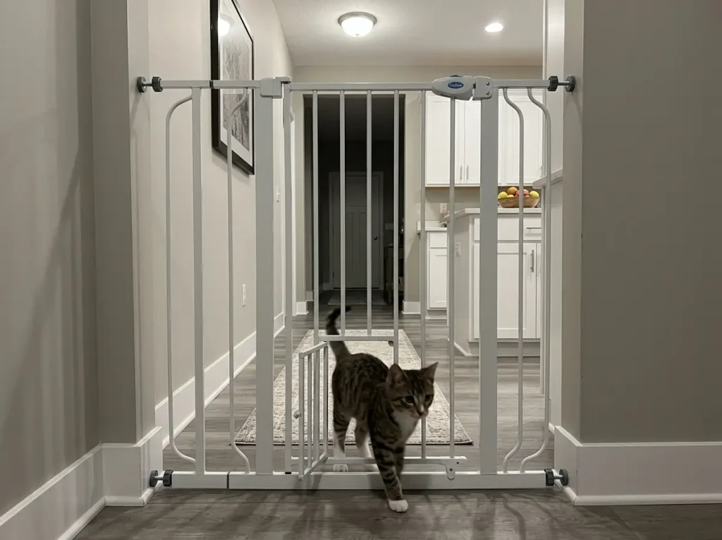 Cat stepping through the small pet door of a tall pressure-mounted gate in a hallway