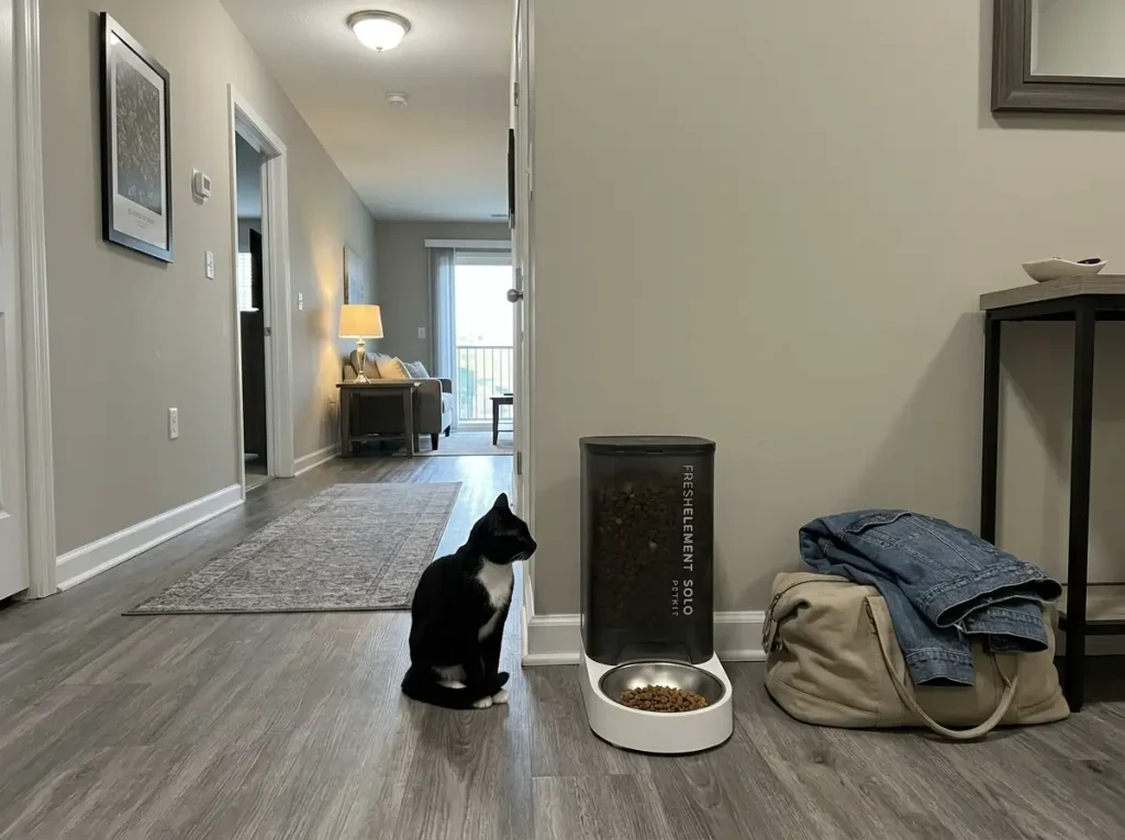 A WiFi automatic cat feeder in a rental hallway beside a packed weekend bag, with a black cat sitting by it
