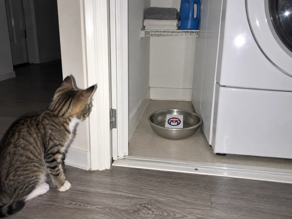 A stainless steel cat water bowl wedged beside a stacked washer-dryer, the spot a cat avoids