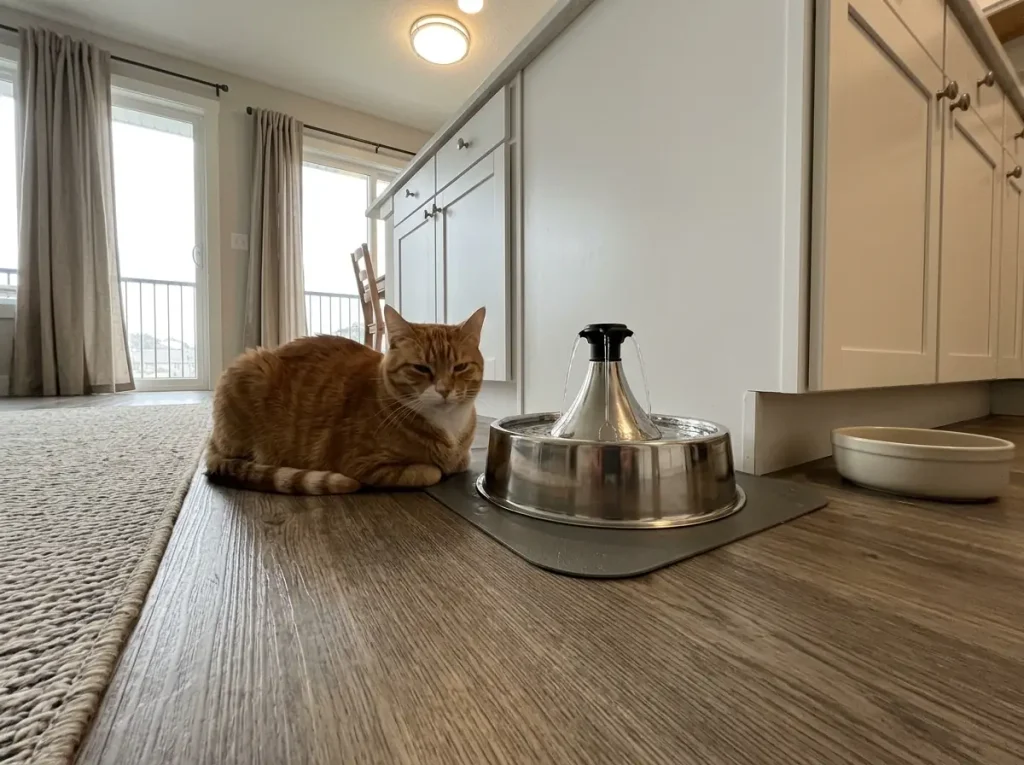 A stainless cat water fountain on a kitchen floor with a cat ignoring it