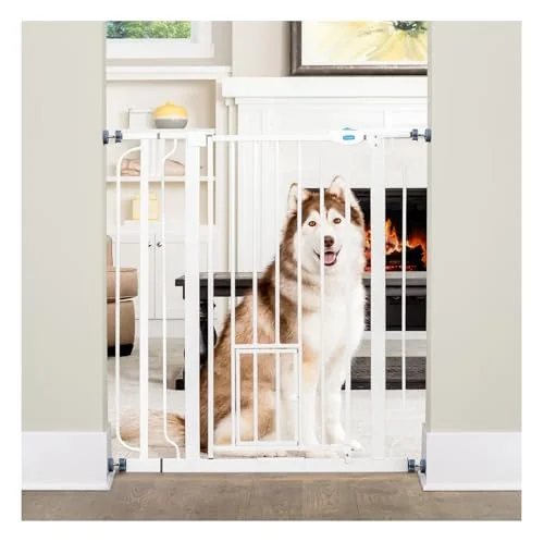 Carlson Extra Tall Walk-Through Pet Gate with Small Pet Door